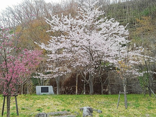 CYMERA_20190424_162518