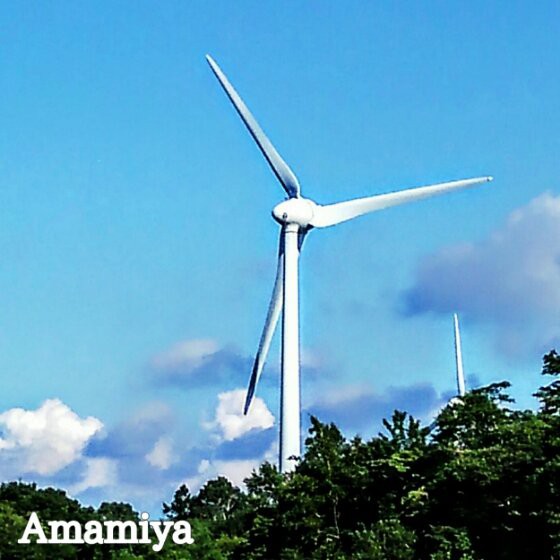 IMG_07032019_194136_(560_x_560_ピクセル)