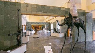 img_17_m