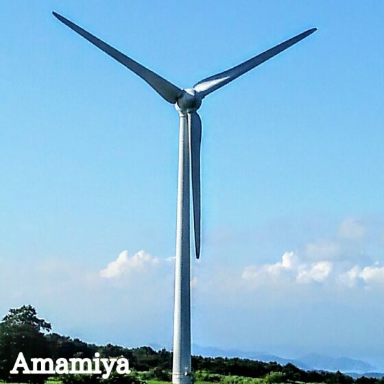 IMG_07032019_194228_(560_x_560_ピクセル)