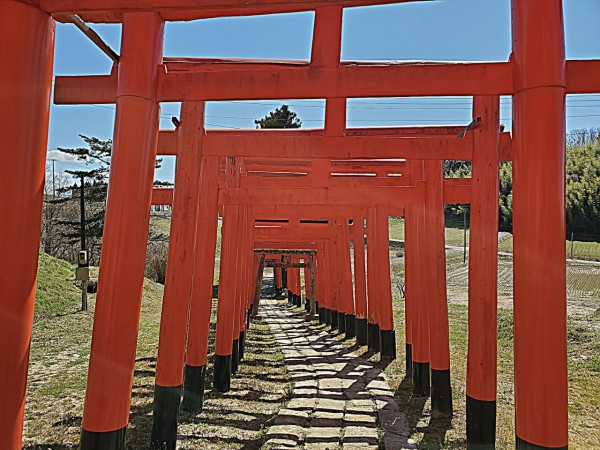 CYMERA_20200408_214338