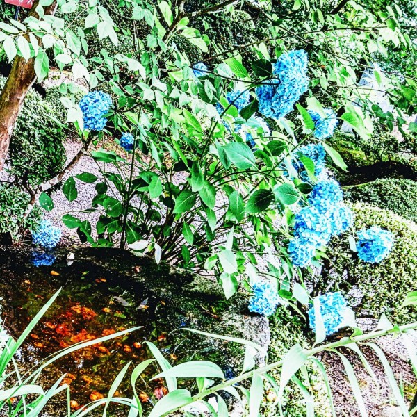 CYMERA_20190316_232728