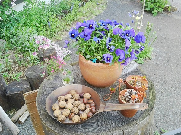 CYMERA_20190528_105132