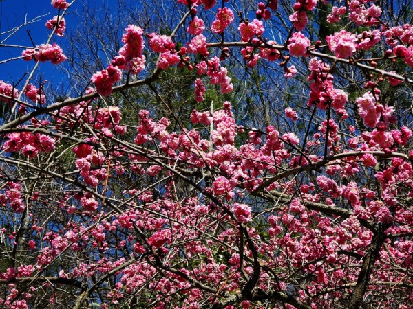 CYMERA_20200408_214039