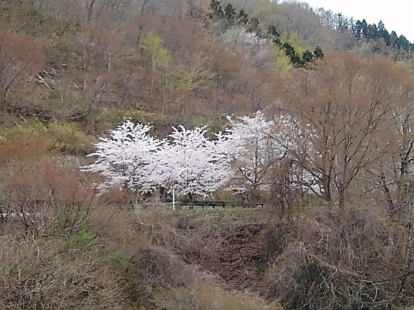 CYMERA_20190424_161821