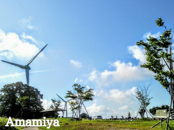 IMG_07032019_194205_(560_x_420_ピクセル)