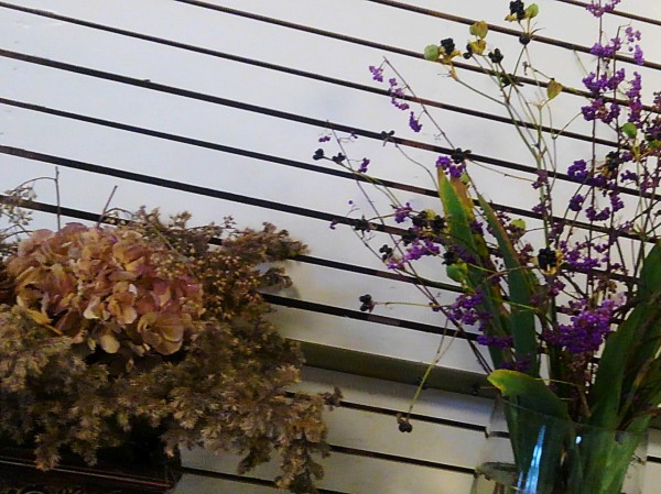 CYMERA_20190308_012125