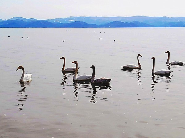 CYMERA_20190319_153325