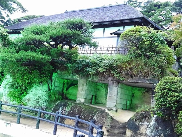 CYMERA_20190729_183127