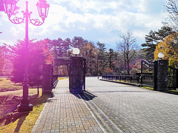 CYMERA_20190308_013043
