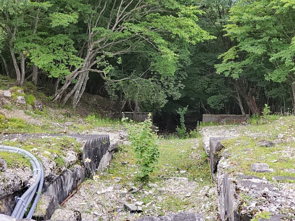 CYMERA_20200908_131542