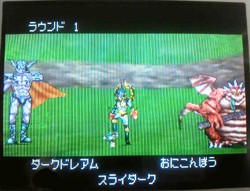 ドラゴンクエストモンスターズ ジョーカー2 すれちがい対戦 神獣 1 はくりゅうおう 四季日記