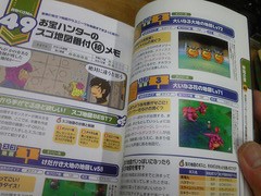 ドラゴンクエストix みちくさ冒険ガイド 購入 四季日記