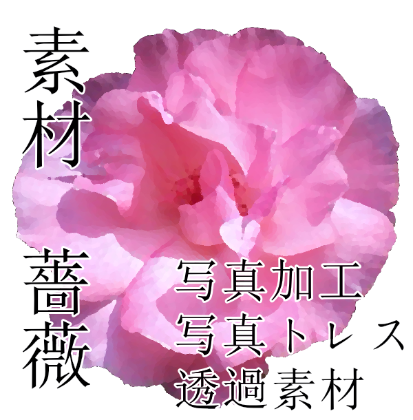 フリー素材 薔薇 青井そらのblog