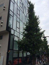 はらじゅくアッシュビル 入居テナント企業 オフィスビルの入居テナント企業について調べるお