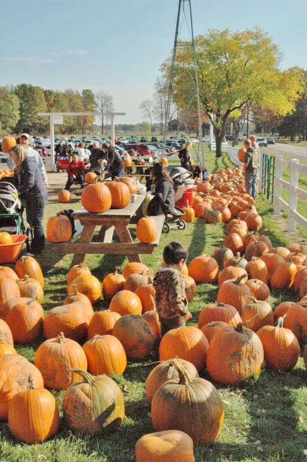 ハロウィーン準備 アメリカごはん2 田舎町での素敵な生活