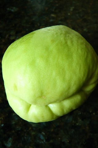 Chayote チャヨテ ってどんな野菜 アメリカごはん2 田舎町での素敵な生活