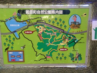 知多半島を歩く 森の中だけどね 元気でamigo
