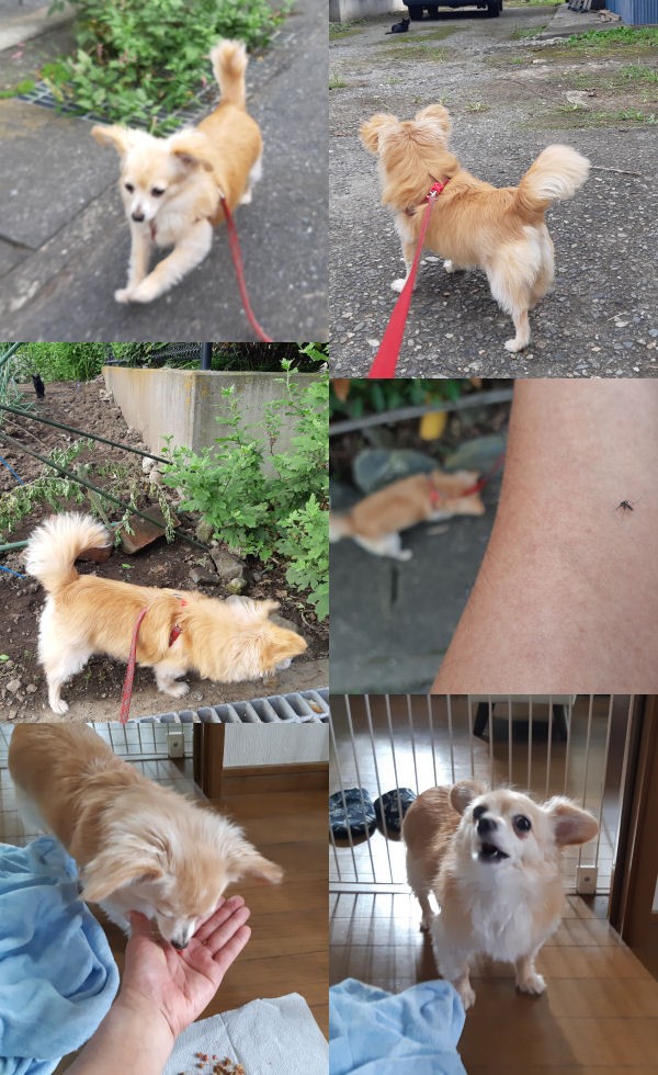 贅沢な悩みということなのですが ｘ家の毎日