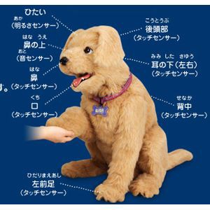 本物そっくり かわいいパートナーペット 夢いぬdx ゴールデンレトリバー 大人のための話題のおもちゃ