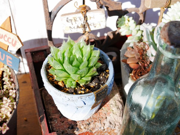 100均だけで缶や鉢をリメイクして植物を植えよう 100均リメイク缶diy講座 Handworks Relax Anさんのdiy リメイク 日々のこと Powered By ライブドアブログ