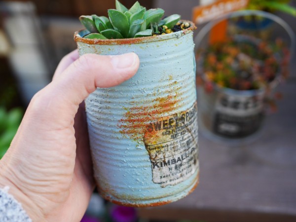 100均だけで缶や鉢をリメイクして植物を植えよう♪100均リメイク缶DIY講座* : HANDWORKS*RELAX anさんのDIY+リメイク+日々のこと  Powered by ライブドアブログ