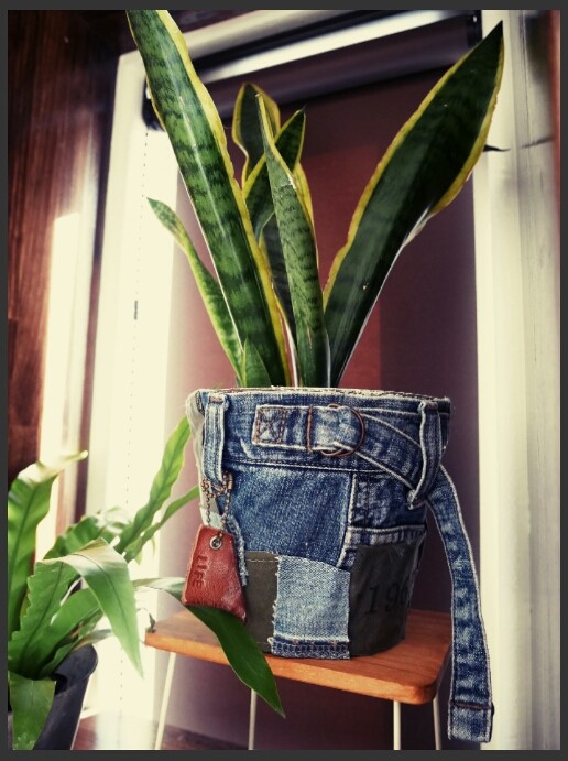 娘たちが履いていたデニムをリメイクして鉢カバーを作ろう