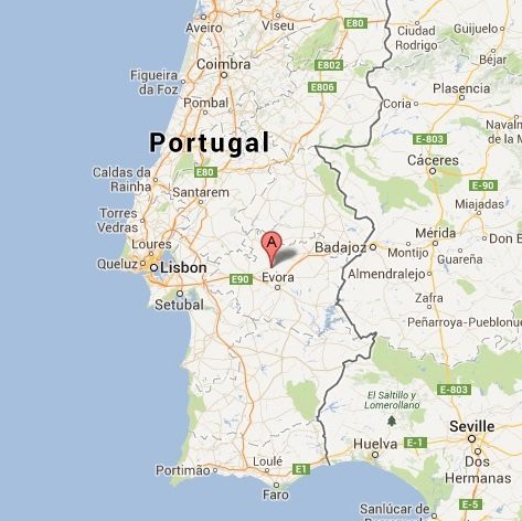 希少アライオロス絨毯ポルトガル伝統工芸品認証Arraiolos花白ピンク