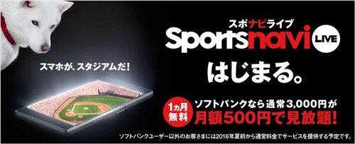 メディア スポナビライブ プロ野球ファンの評判が高かったにもかかわらず 会員を獲得しても7割程度が1カ月でやめていった Jとfの歩き方