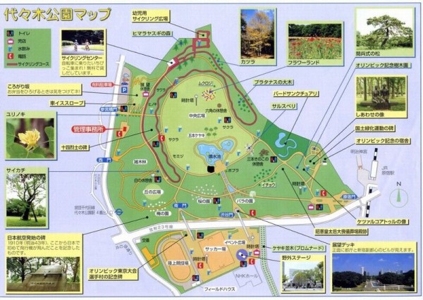 代々木公園スタジアム計画 東京都が代々木公園にラグビー場を整備か Jとfの歩き方