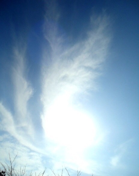 エンジェルナンバー 6029 6 Angelic Blessings 天使の祝福