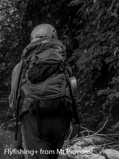 Episode1144 渓流釣行ニューアイテム Flyfishing From Mt Pigeons