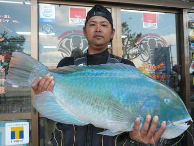 大城祐裕さん 西崎漁港良い型マクブ７３ ６ ９ Upヽ 釣り人あんてな