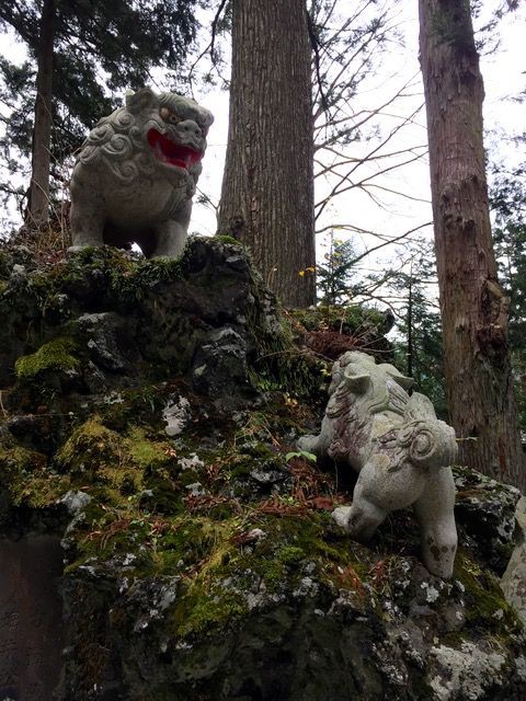 模する
