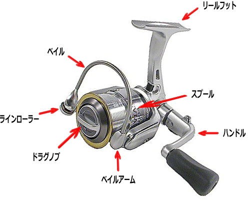 タックルを知って楽しさ倍増 リールの基礎知識 ルアーフィッシング初心者のためのメバリング攻略ブログ