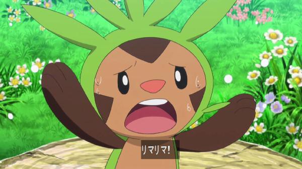 ポケモンxy 89話 感想まとめ セレナがイーブイをゲット イーブイ可愛すぎる あにゲーぐらし