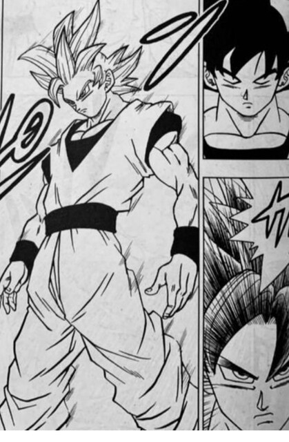 孫悟空 身勝手の極意をマスターする ねいろ速報さん