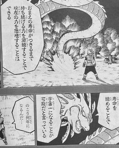 正規取扱店 ドラゴンボール2枚 割引クーポン対象品 Www Clinicasantemogi Com Br