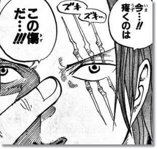 ワンピース シャンクス 左目の傷が疼く ねいろ速報さん