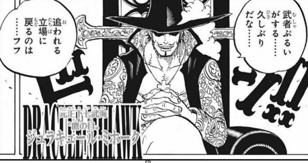 ワンピース 七武海廃止でミホーク捕まえに行った人かわいそう ねいろ速報さん