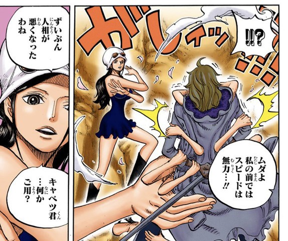 画像 ワンピース 二コ ロビンの能力 ぶっ壊れすぎる ねいろ速報さん