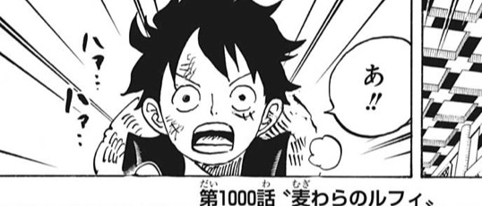 ワンピース 1000話 麦わらのルフィ ねいろ速報さん