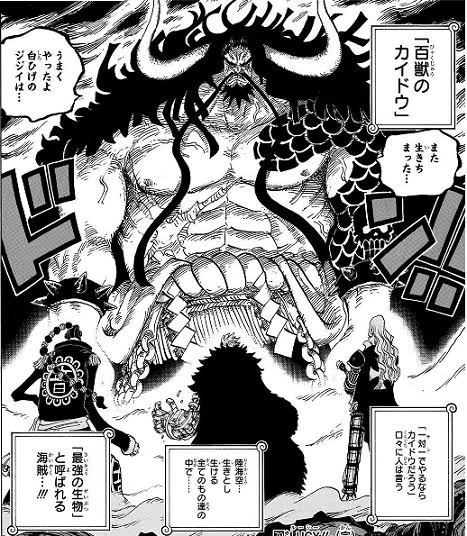 ワンピース 最強の生物 一対一でやれるならカイドウだろう ねいろ速報さん