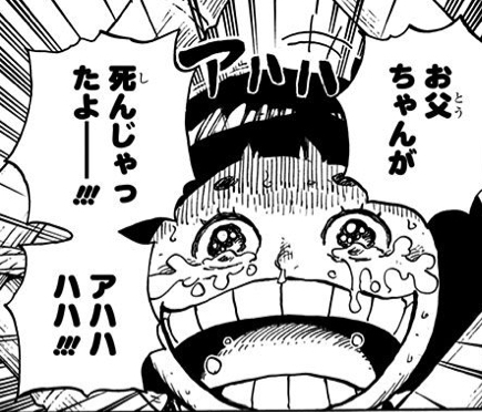 ワンピース トの康 絶景かなワノ国 ねいろ速報さん