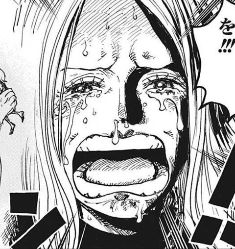 ワンピース ボニー お父さんを傷つけないで ねいろ速報さん