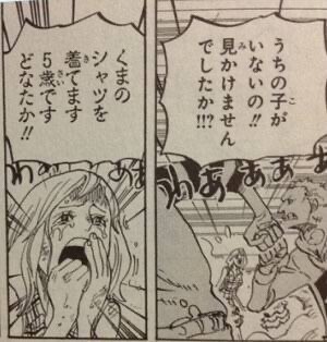 ワンピース モブ うちのこくまのシャツ着てます 画像 ねいろ速報さん