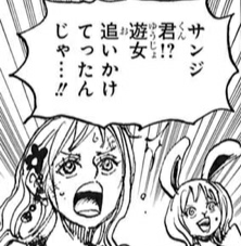ワンピース ナミ サンジ君は遊女を追いかけてったんじゃ ねいろ速報さん