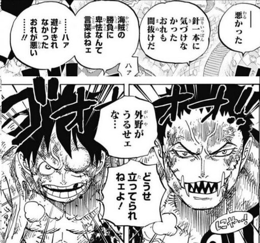 ワンピース ルフィ 海賊の勝負に卑怯なんて言葉はねぇ ねいろ速報さん