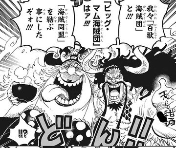 ワンピース 七武海廃止の次に飛び込んでくるニュースがこちら ねいろ速報さん