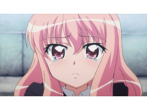 悲報 ゼロの使い魔 のルイズのフルネームを覚えているなんj民 13 しかいない ねいろ速報さん 悲報 ゼロの使い魔 のルイズのフルネームを覚えているなんj民 13 しかいない ねいろ速報さん